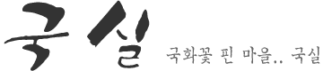 국화꽃 핀 마을.. 국실